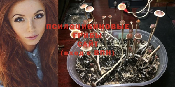 ешки Абинск
