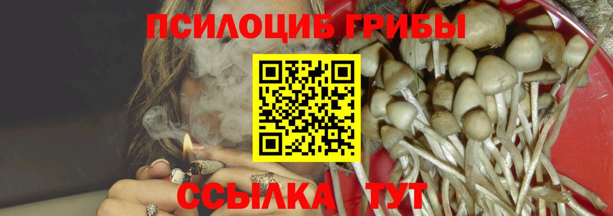 Псилоцибиновые грибы Psilocybine cubensis Новокубанск